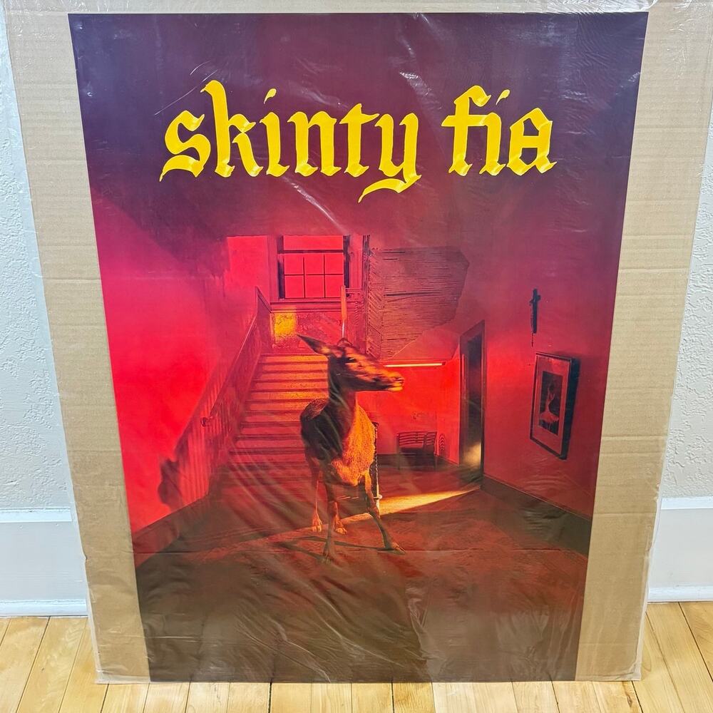 Fontaines DC Skinty Fia Album Poster 24" x 36"